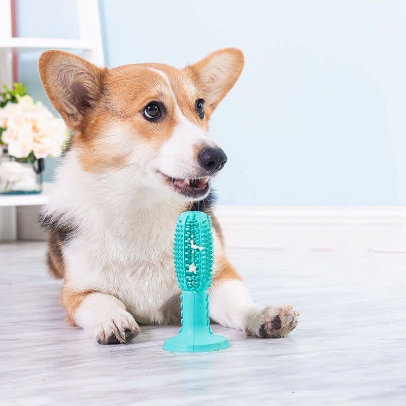 image-The New Dog Toothbrush, Dog Molar Teeth Cleaning Stick, Leaking Food Device, Bite Resistant Dog Toy