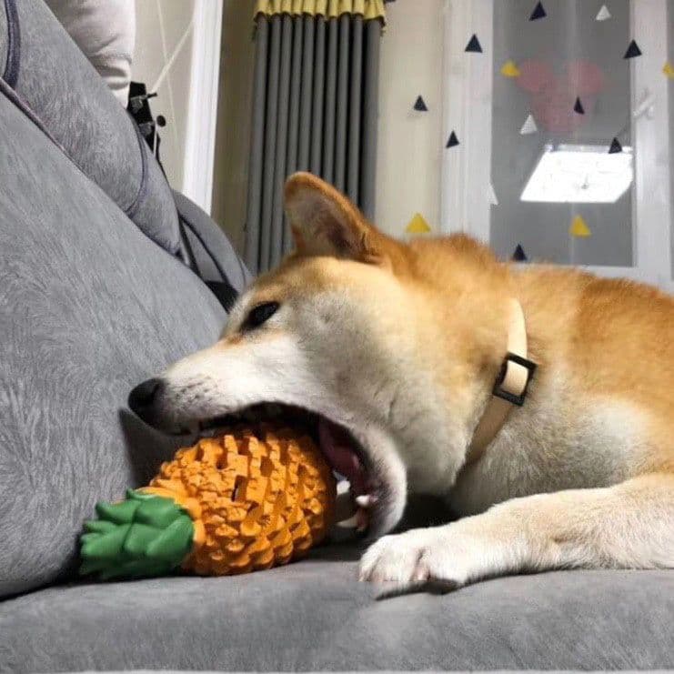 image-Funny Fruits Shape Dog Toy Pet Teeth Clean Molar Teeth Chew Bite Pet Toys Pets Products Gift