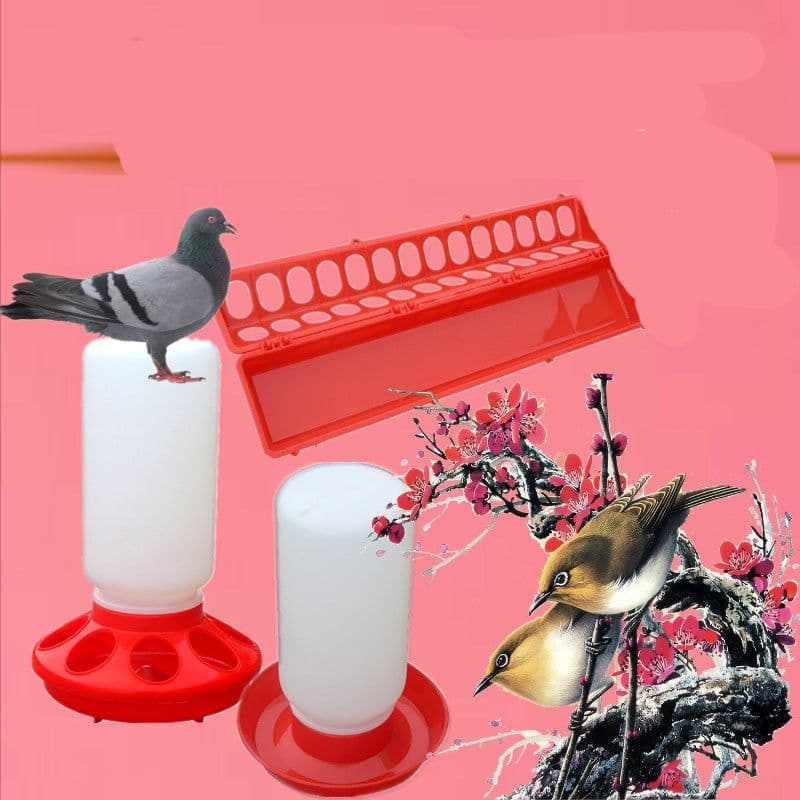 image-The Bird Feeds The Water Bottle To The Pigeon With A Waterer, Pigeon Trough Screw Mouth
