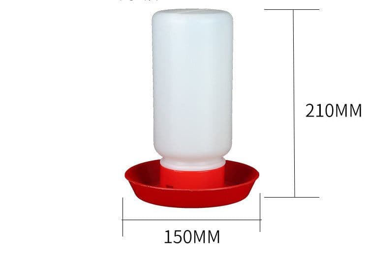 image-The Bird Feeds The Water Bottle To The Pigeon With A Waterer, Pigeon Trough Screw Mouth