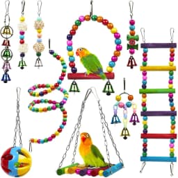 image-Parrot Combination Toy 10-Piece Set Wooden Bead Rotating Ladder Swing Stand Wooden Ladder Sepak Takraw Chewing Toy