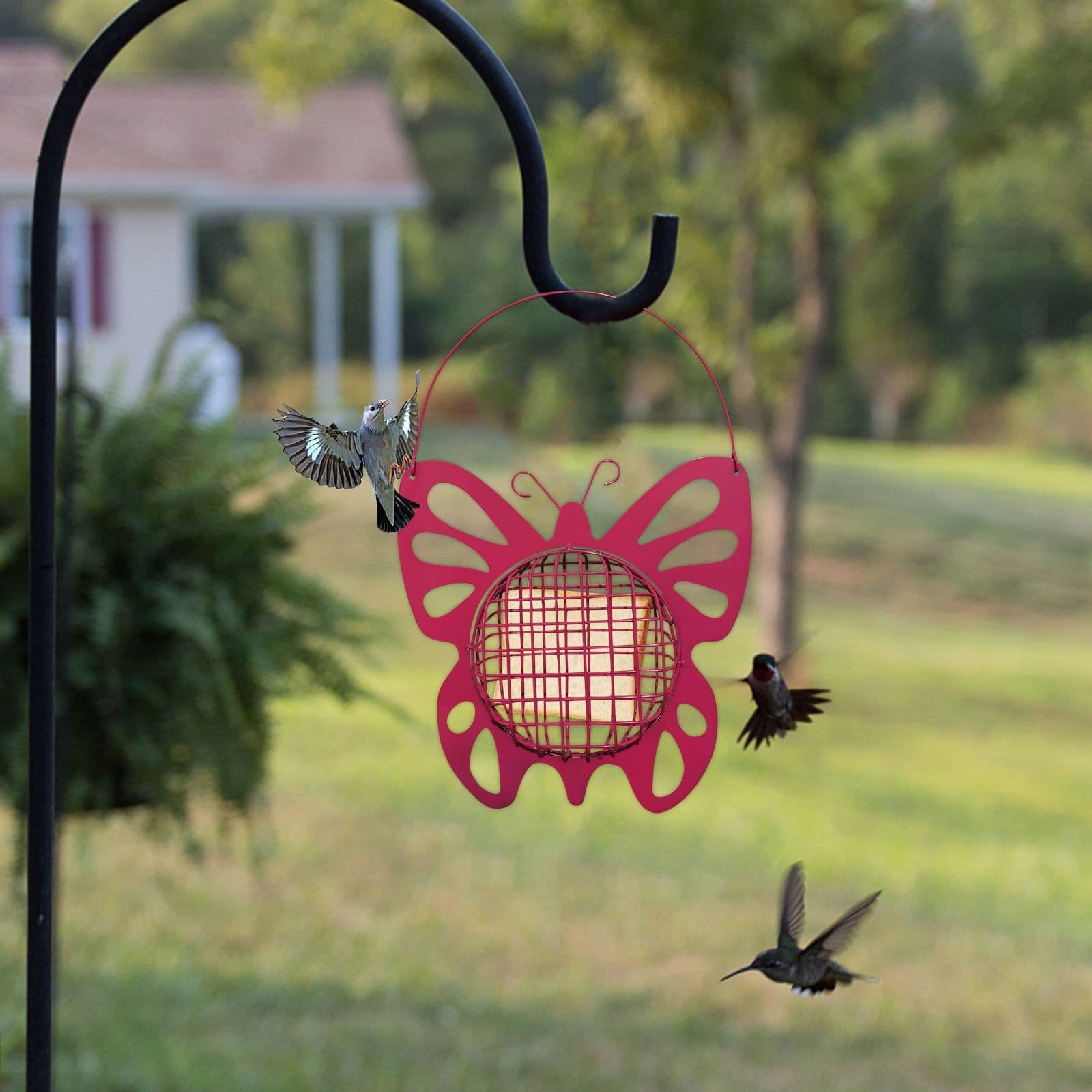 image-Outdoor Metal Automatic Bird Feeder Balcony Hanging Feeder