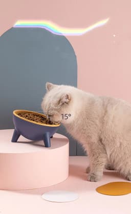 image-Cat Dog Bowl With Stand Pet Feeding Food Bowls