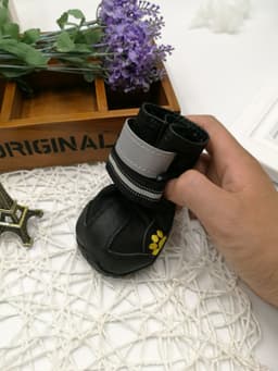 image-Pet shoes wear dog shoes