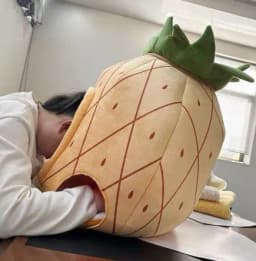 image-Orange Pineapple Pet House - Dog Bed Cloth