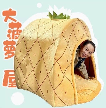 image-Orange Pineapple Pet House - Dog Bed Cloth
