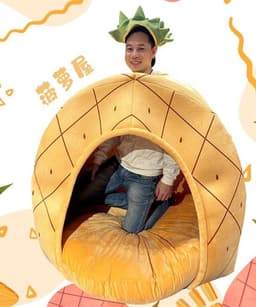 image-Orange Pineapple Pet House - Dog Bed Cloth
