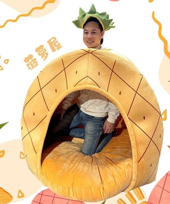 image-Orange Pineapple Pet House - Dog Bed Cloth