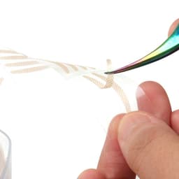 image-Double Eyelid Sticker Roll - 600 Mesh Breathable