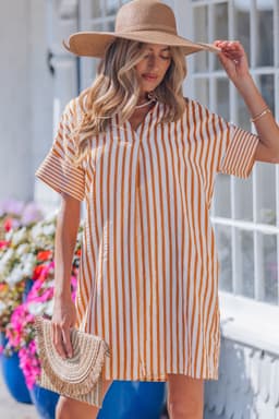 image-Brown Stripe Pinched V Neck Turn-up Cuffs Shift Mini Dress