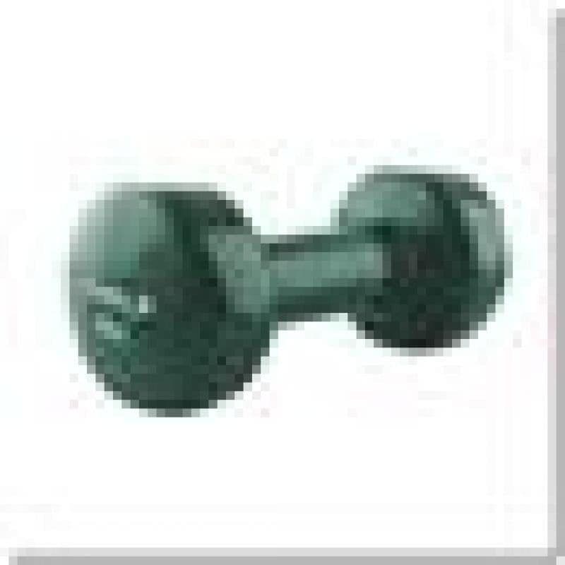 image-3kg vinyl weight HMS 17023 17-47-005