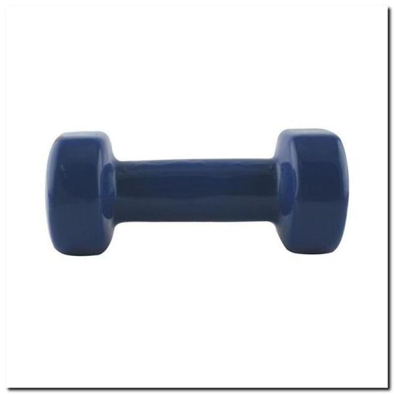 image-3kg vinyl weight HMS 17023 17-47-005