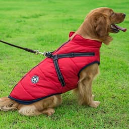 image-Dog Clothes Chest Back Integrated Cotton Vest Pet Cotton Clothes Winter Clothes