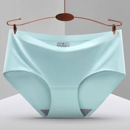 image-Women's High-Waist Nylon Briefs - Light Purple XXL