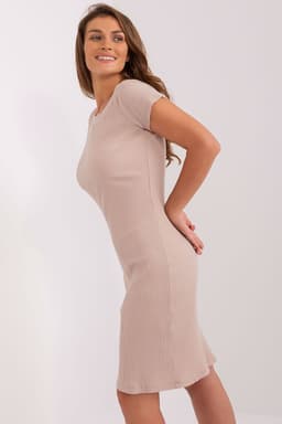 image-Daydress Relevance