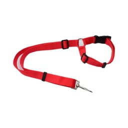 image-Pet Car Seat Belt 2 In 1 Rear Seat Dog Safety Rope