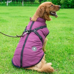 image-V·PET·B·R Dog Jacket 4XL Purple Reflective