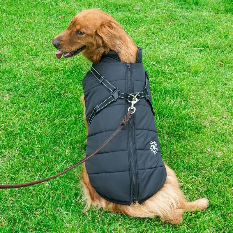image-V·PET·B·R Dog Jacket 4XL Purple Reflective