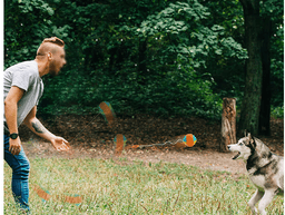 image-Hand Throwing Ball ABS Dog Chew Training Ball