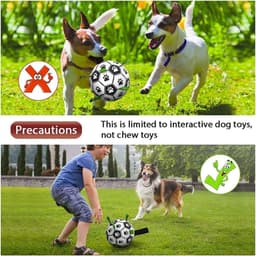 image-Interactive Dog Football Toy Soccer Ball Inflated Training Toy For Dogs Outdoor Border Collie Balls For Large Dogs Pet Supplies