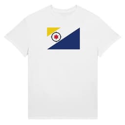 image-Drapeau des Pays-Bas caribéens - T-shirt unisexe ras du cou en coton