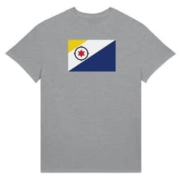 image-Drapeau des Pays-Bas caribéens - T-shirt unisexe ras du cou en coton