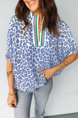 image-Sky Blue Leopard Striped V Neck Blouse
