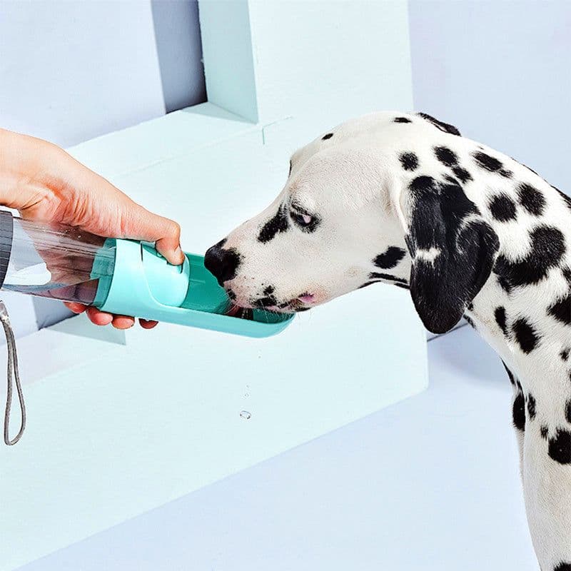 image-Pet Multifunctional Pet Accompanying Cup Portable Dog Water Cup Household