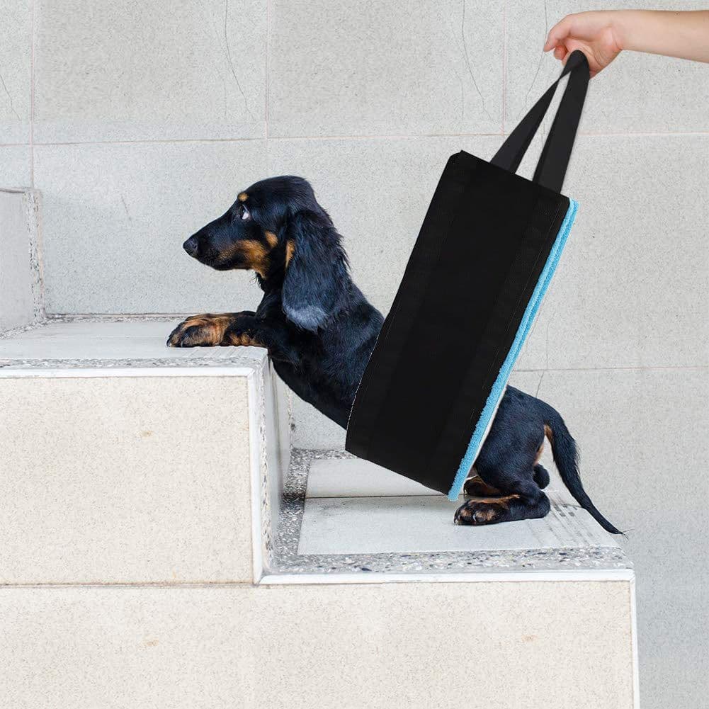 image-New Pet Products Dog Auxiliary Belt Pet Power