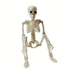 image-90cm Glowing Skeleton Decoration with Articulated Joints