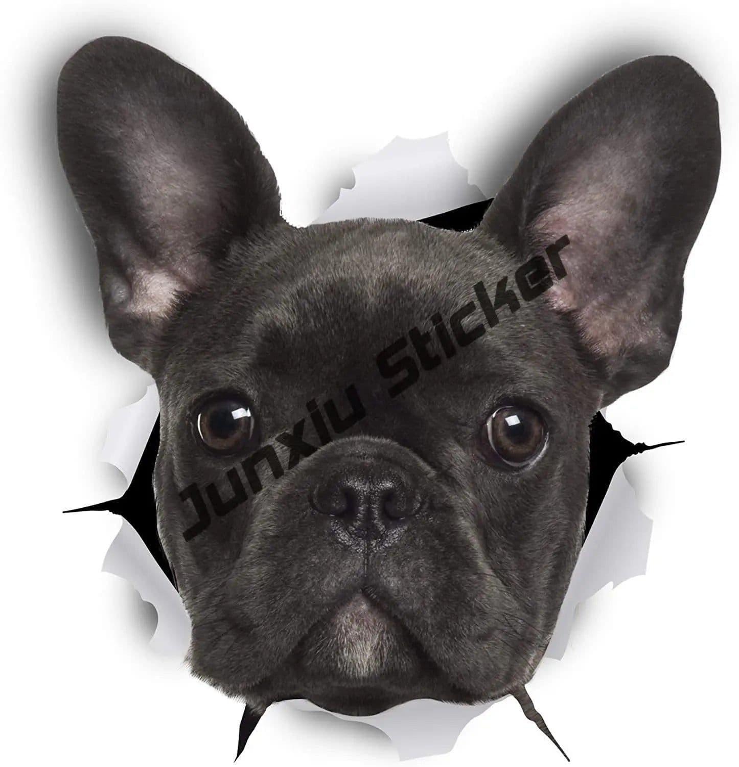 image-French Bulldog Holographic Decal Dog Paws Breed Bumper Sticker - for Laptops Tumblers Windows Cars Trucks Walls Decoration