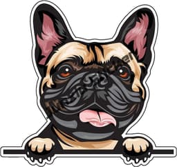 image-French Bulldog Holographic Decal Dog Paws Breed Bumper Sticker - for Laptops Tumblers Windows Cars Trucks Walls Decoration