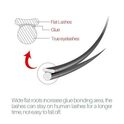 image-H&L SINCE 1990 Flat Ellipse Eyelashes Maquiagem Split Tips Ellipse Shaped Natural Light Magnetic Eyelash Extension