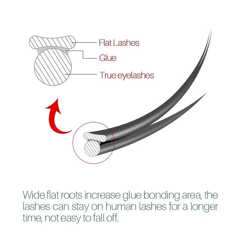 image-H&L SINCE 1990 Flat Ellipse Eyelashes Maquiagem Split Tips Ellipse Shaped Natural Light Magnetic Eyelash Extension