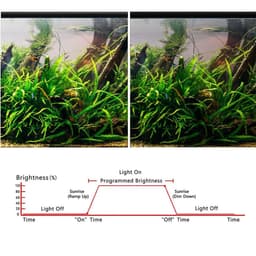 image-Fish Tank Timer Marine Aquarium LED Light Dimmer Controller Light Sunrise Sunset Modulator Aquarium Intelligent Timing Dimming