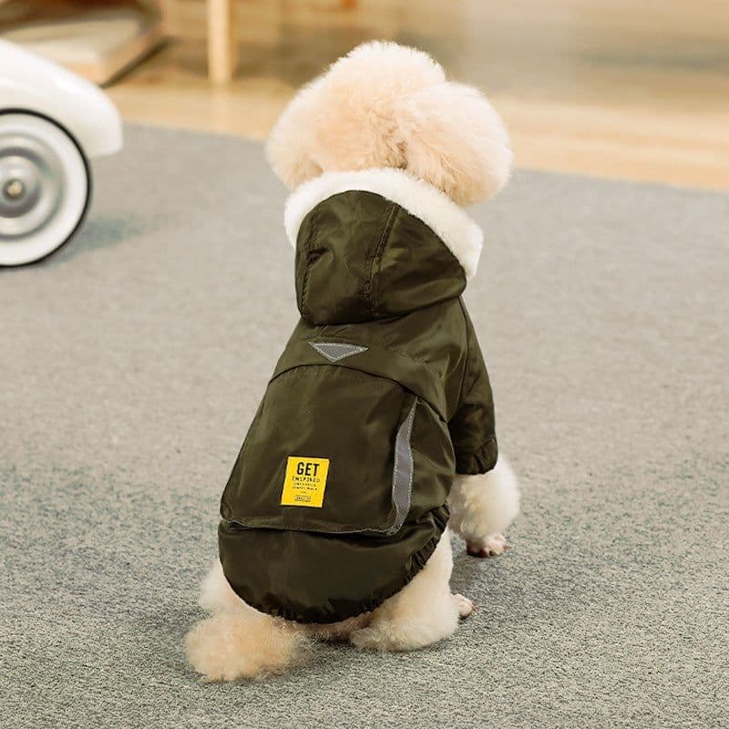image-Trendy Teddy Korean Corgi Dog Clothes, Red, Small, Autumn/Winter