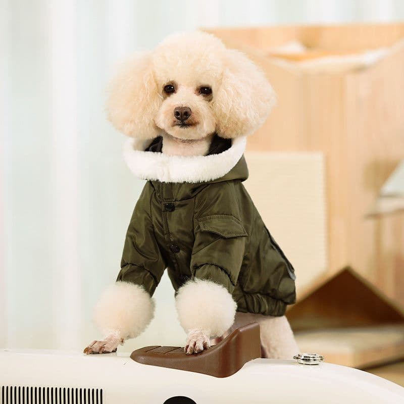 image-Trendy Teddy Korean Corgi Dog Clothes, Red, Small, Autumn/Winter