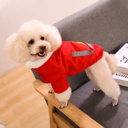 image-Trendy Teddy Korean Corgi Dog Clothes, Red, Small, Autumn/Winter