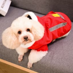 image-Trendy Teddy Korean Corgi Dog Clothes, Red, Small, Autumn/Winter