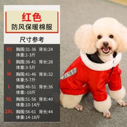 image-Trendy Teddy Korean Corgi Dog Clothes, Red, Small, Autumn/Winter