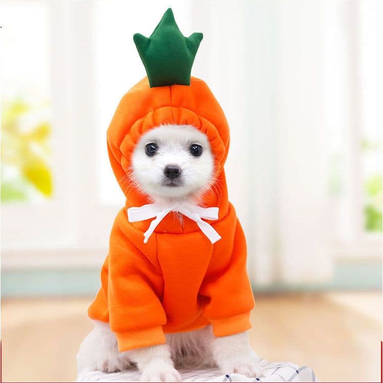 image-Dongqian Puppy Dog Cat Autumn Winter Sweater
