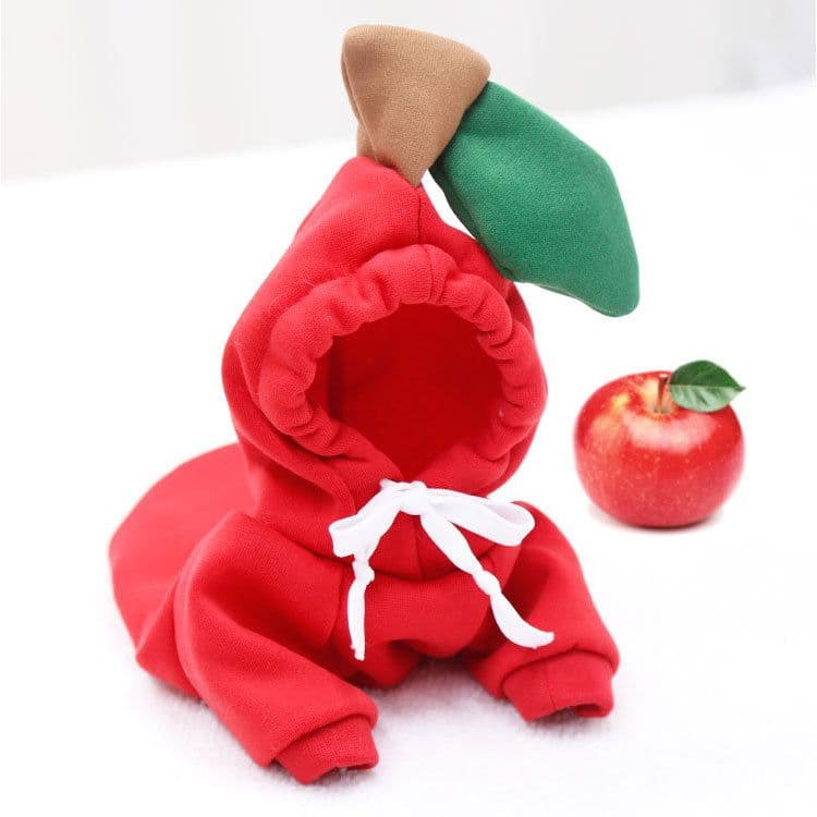 image-Dongqian Puppy Dog Cat Autumn Winter Sweater