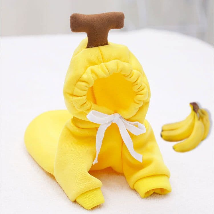 image-Dongqian Puppy Dog Cat Autumn Winter Sweater