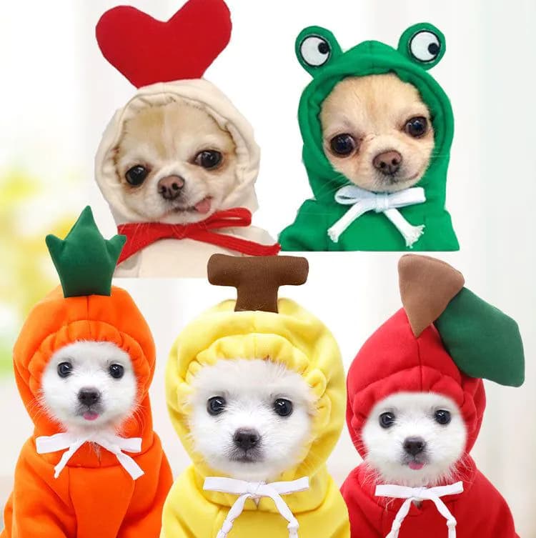image-Dongqian Puppy Dog Cat Autumn Winter Sweater