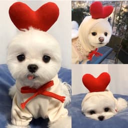image-Dongqian Puppy Dog Cat Autumn Winter Sweater