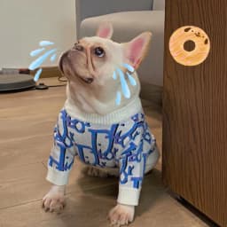 image-Pet Sweatshirt for Dogs - Blue XXL Yarn Sweater