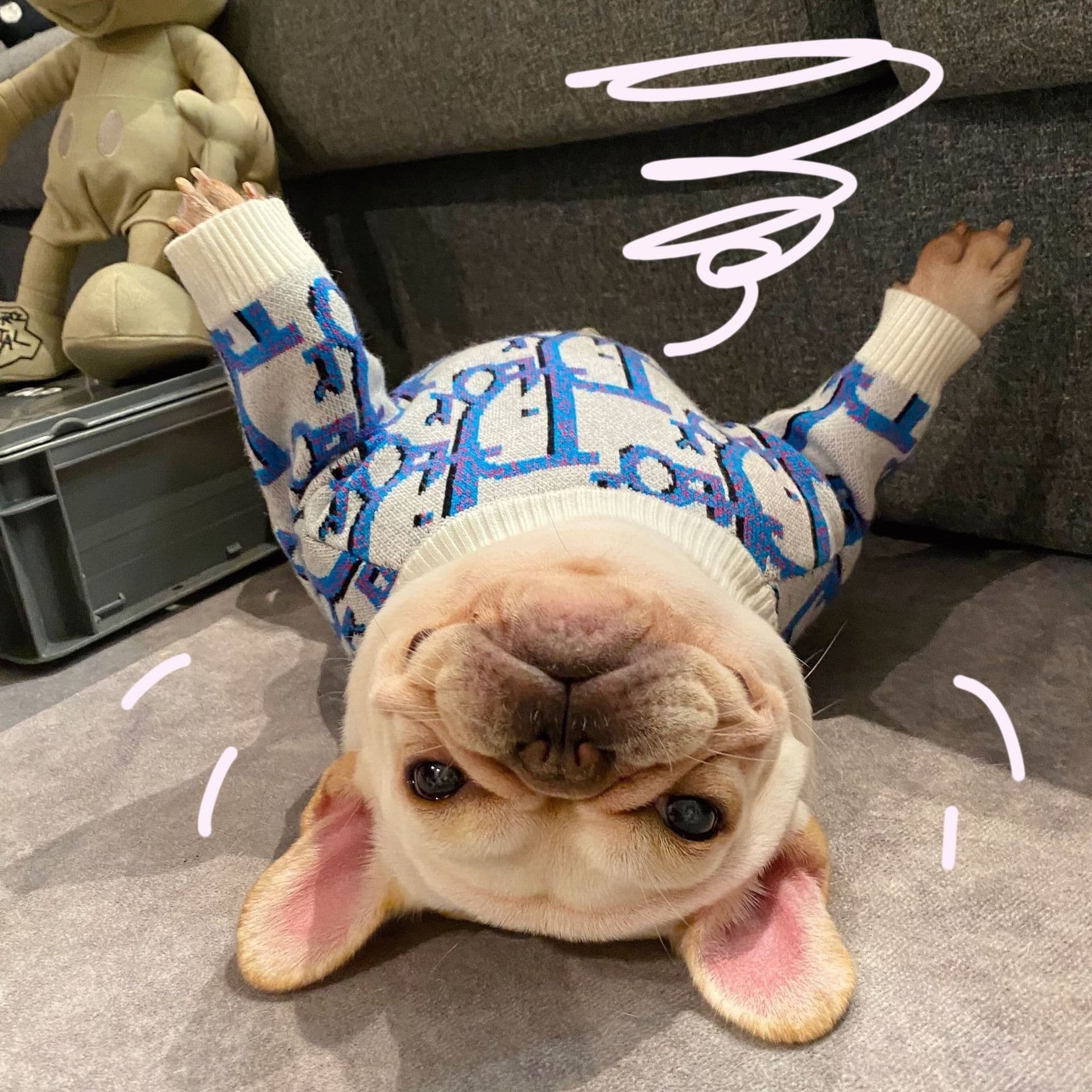 image-Pet Sweatshirt for Dogs - Blue XXL Yarn Sweater