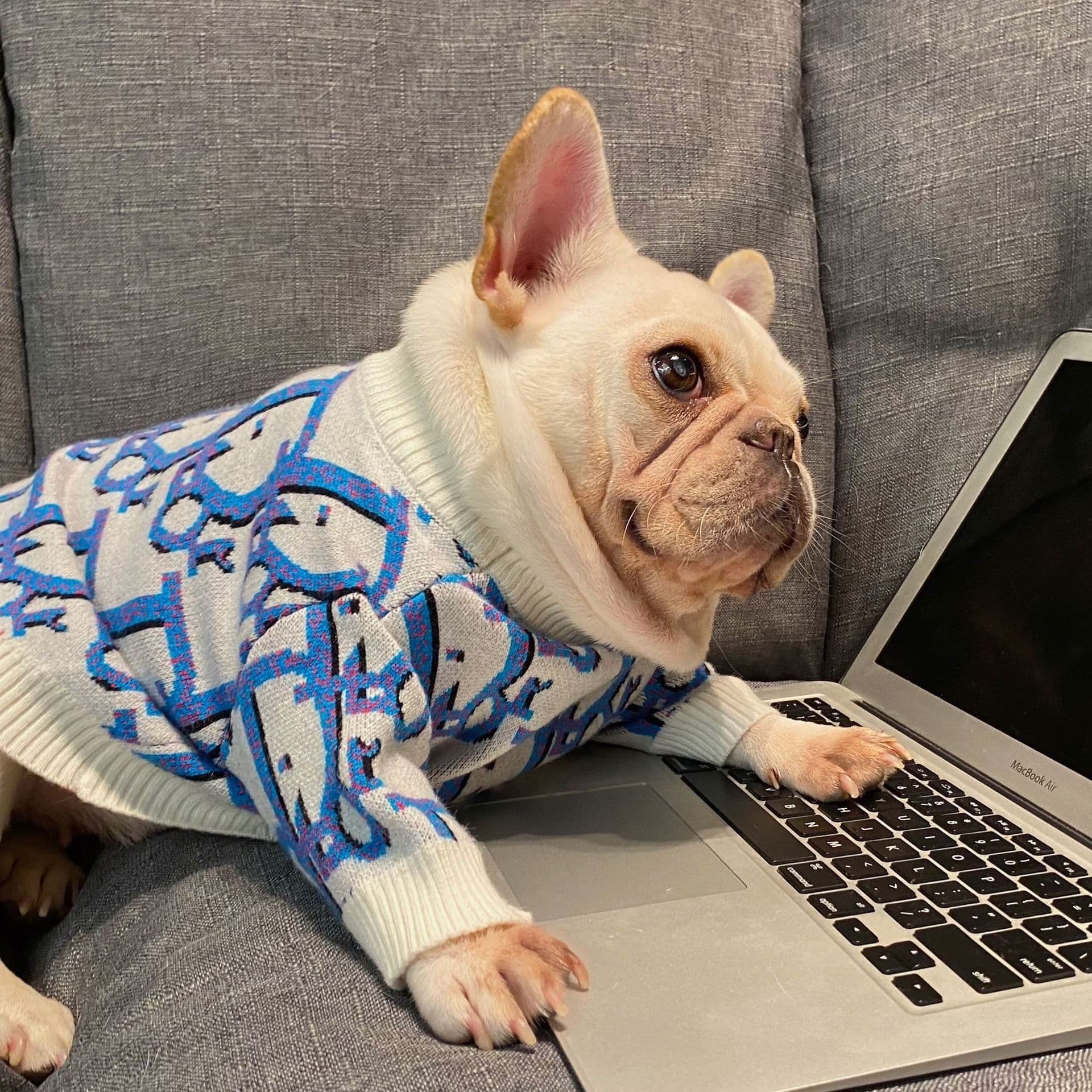 image-Pet Sweatshirt for Dogs - Blue XXL Yarn Sweater