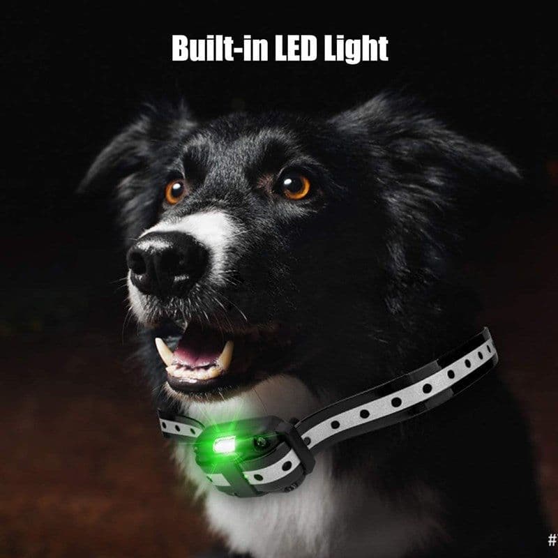 image-Rechargeable Anti-Barking Device, Electric Shock & Vibration, Dog Trainer