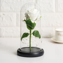 image-Preserved Flower Glass Cover - Rose Gold Foil